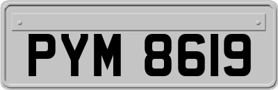 PYM8619