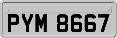 PYM8667