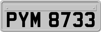 PYM8733