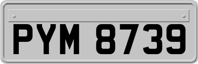 PYM8739