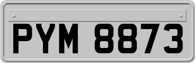 PYM8873