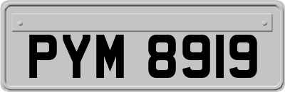 PYM8919