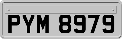 PYM8979