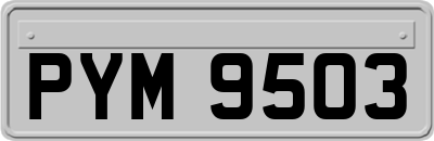 PYM9503