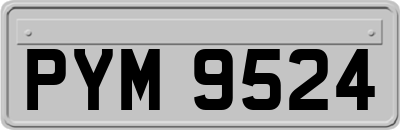 PYM9524