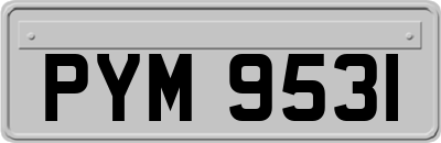 PYM9531