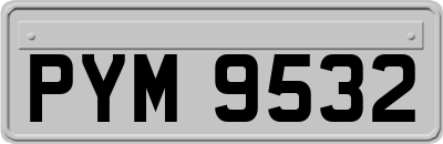 PYM9532