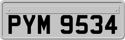 PYM9534