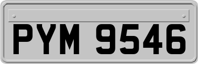 PYM9546