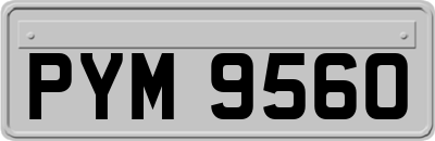 PYM9560