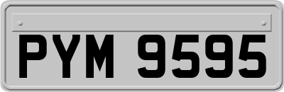 PYM9595