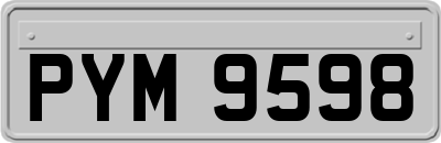 PYM9598