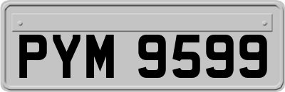 PYM9599