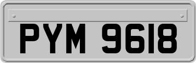 PYM9618