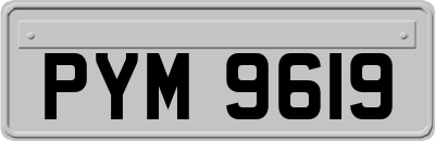 PYM9619