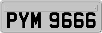 PYM9666