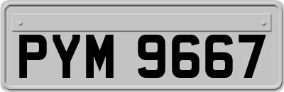 PYM9667