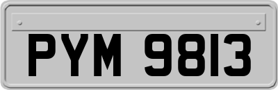 PYM9813