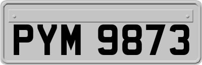 PYM9873