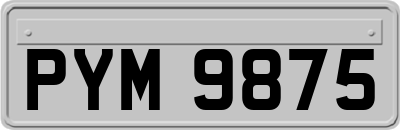 PYM9875