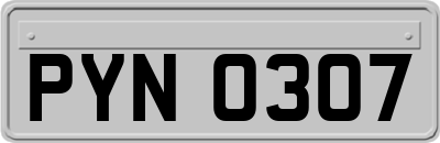 PYN0307