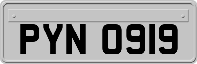 PYN0919