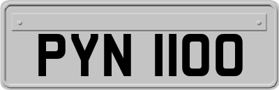 PYN1100