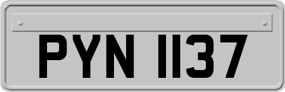 PYN1137