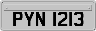 PYN1213