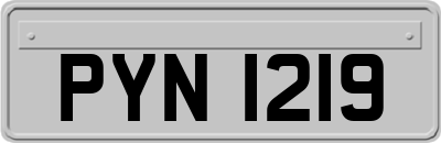 PYN1219