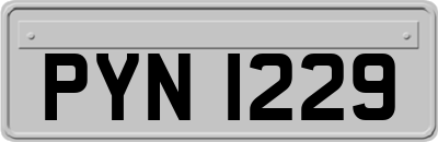 PYN1229