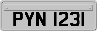 PYN1231