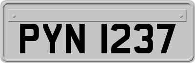 PYN1237