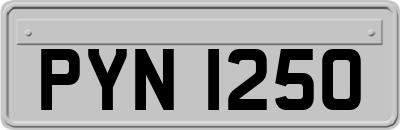 PYN1250