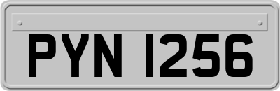 PYN1256