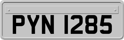 PYN1285