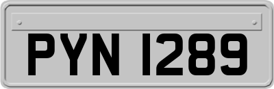 PYN1289