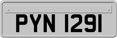 PYN1291