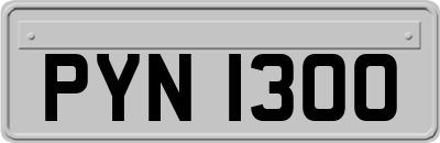 PYN1300