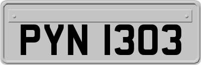 PYN1303