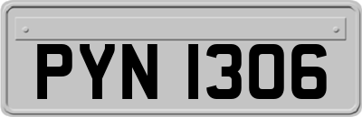 PYN1306