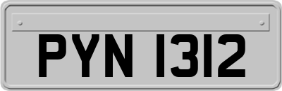 PYN1312