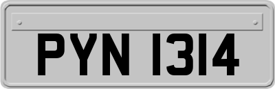 PYN1314