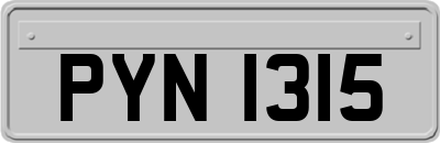 PYN1315