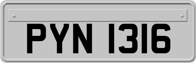 PYN1316