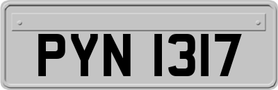 PYN1317