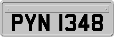 PYN1348