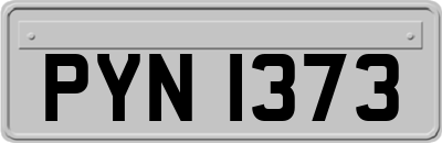 PYN1373