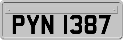 PYN1387