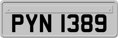 PYN1389